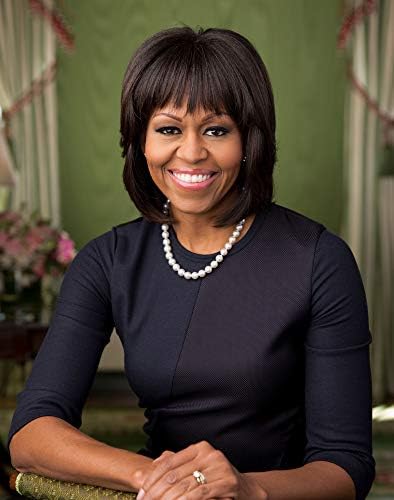 Снимка на официален портрет на Първата дама Мишел Обама - Историческо произведение на изкуството 2013 г. - (11