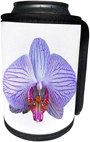 3dRose Boehm Graphics Цветя - Виолетово-бяла орхидея - Опаковки за бутилки-охладител (cc_357682_1)