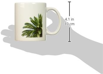 3дрозная Палма В Бели Скай-Зелени Листа, на Средиземноморската, Тропически Абстрактна Керамична Чаша, 11 грама, Многоцветен