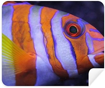 Морската Тяло Тропическа Риба Домашни Плат За Почистване на Екрана за Пречистване на 2 елемента Замшевой Тъкан